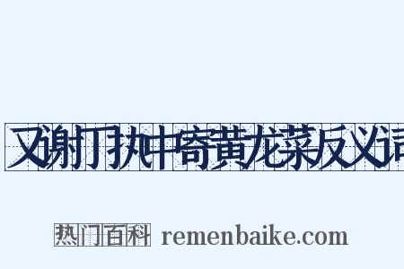 又谢丁执中寄黄龙菜反义词是什么意思的图片